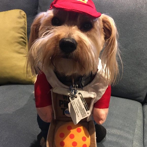 Meet your Posher, Michelle - Picture 15 of 16